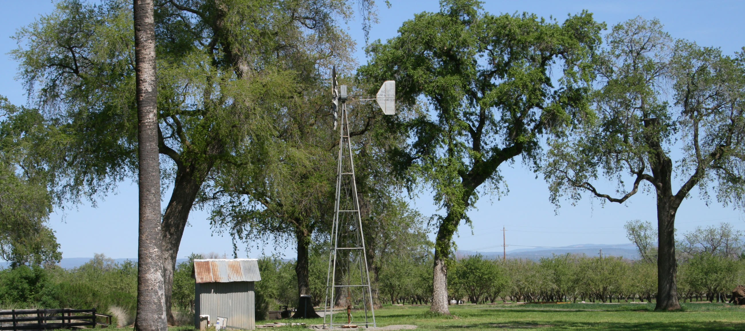 The windmill and Valley Oaks on the grounds of the Patrick Ranch Museum, Durham, California.
